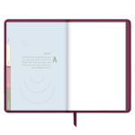 ⁦أجندة "نور على نور" الرمضانية، عنبر⁩ - الصورة ⁦4⁩