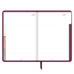 ⁦أجندة "نور على نور" الرمضانية، عنبر⁩ - الصورة ⁦6⁩