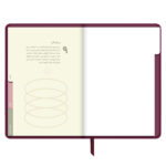 ⁦أجندة "نور على نور" الرمضانية، عنبر⁩ - الصورة ⁦9⁩