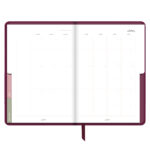 ⁦أجندة "نور على نور" الرمضانية، عنبر⁩ - الصورة ⁦10⁩